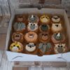 Jungle cupcakes versie 1